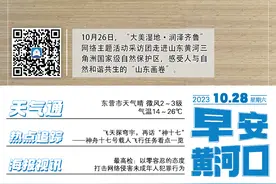 早安黄河口（10月28日）候鸟翔集 在黄河入海口看生态保护“山东画卷”图片