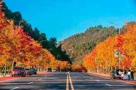 12月14日，来都匀绿博园体验数字健身自主打卡挑战赛！图片