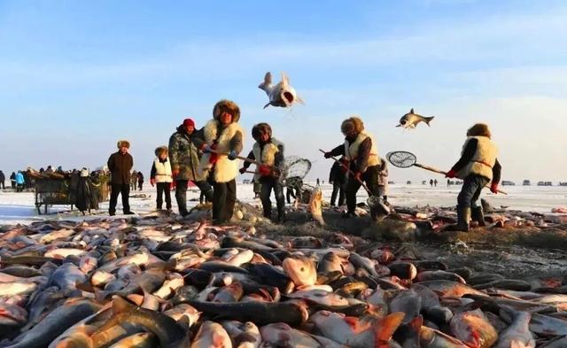 这个冬天，猫在巴彦淖尔才是幸福事