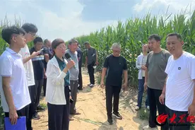 潍坊昌邑市：田间课堂送良技 万顷粮田好“丰景”图片