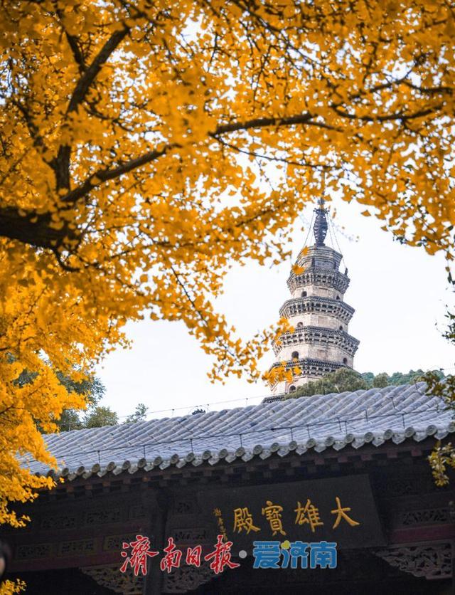 别错过最佳观赏期 一起邂逅满城红黄限定秋景