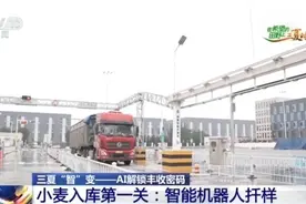 碳水爱好者看过来！黄淮海麦区要承包你碗里的面条图片