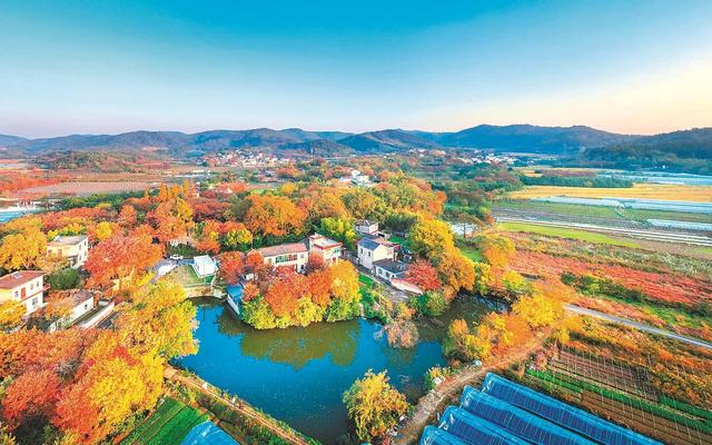 初冬美景入画来