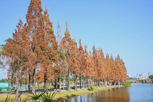 民宿满房！弥勒避寒游持续升温～