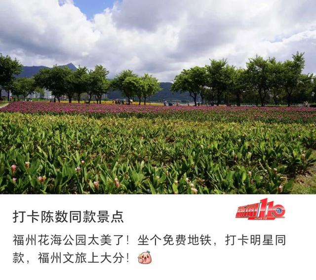 一大波“上新”！福州这一幕幕，太惊艳！不少人直呼“太好拍了”