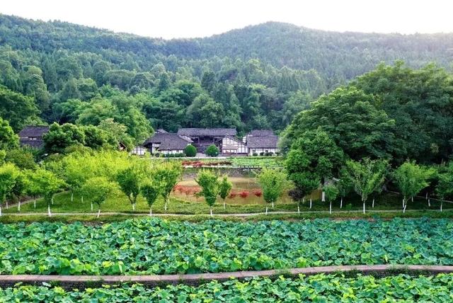 看川超，过双节，西充赏景品鲜两不误！
