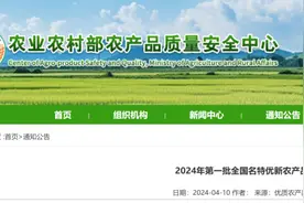 祝贺！寿宁金牡丹红茶入选全国“名特优新”名录！图片