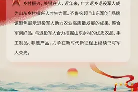 “齐鲁农超·山东军创品牌馆”正式上线图片