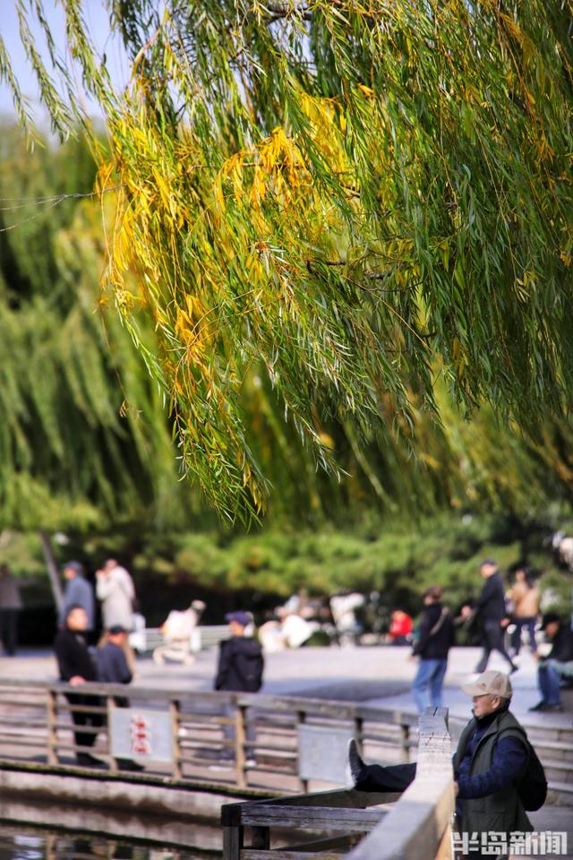 金秋斑斓 公园如画