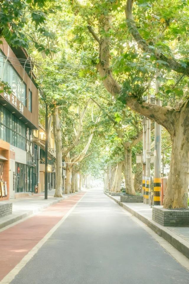 用CityWalk的方式,和蓝天Say Hi~