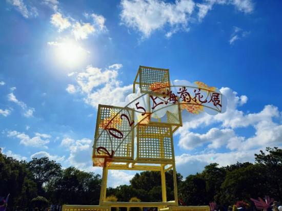 2025上海菊花展在共青森林公园举办 攻略请收好