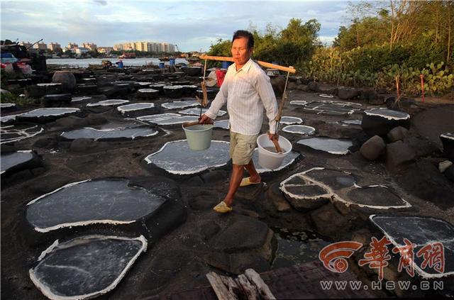 千年古盐田——探秘别有“滋味”的海盐晒制技艺