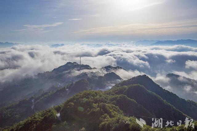 巴东绿葱坡：破晓烟云绘仙境
