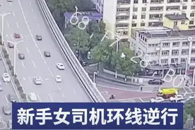 新手女司机长沙西二环逆行，交警：我以为看花眼了图片