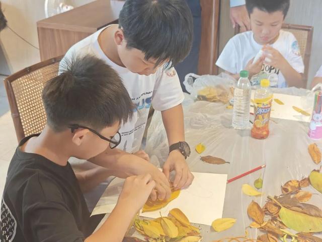 东寨港红树林研学进行时，自然课堂里的欢乐时光～