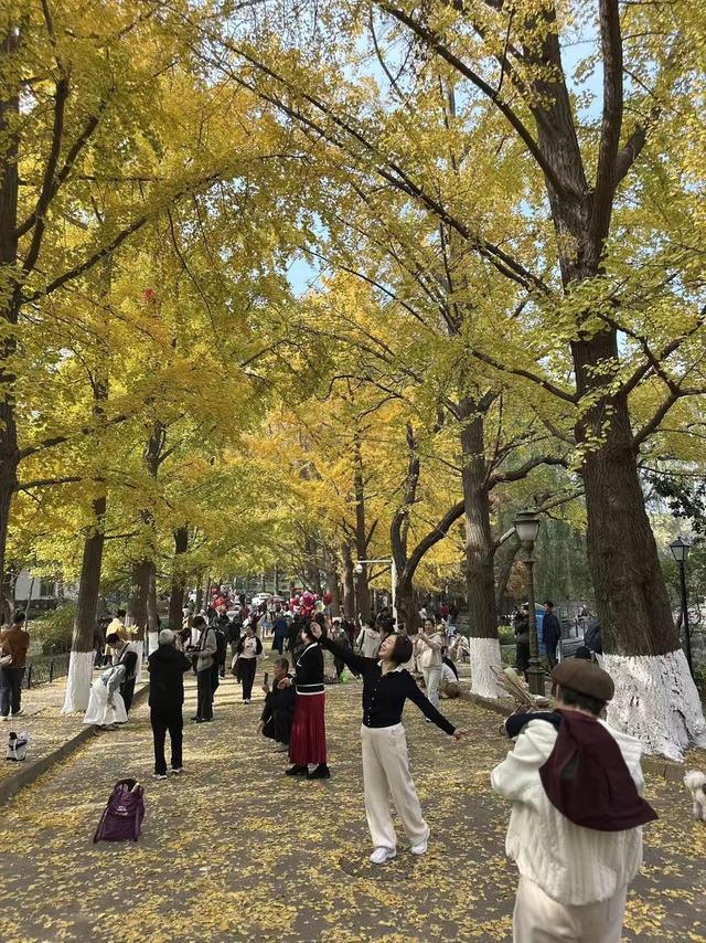 “山海冬韵·鸥遇青岛”十大推荐网红打卡地藏满冬季限定快乐