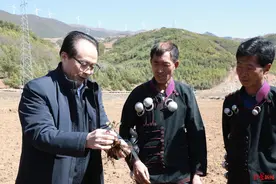 全国人大代表耿福能：建议加强优质医疗资源下沉，落实分级诊疗，鼓励执业医生办诊所图片