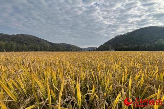 到延安去！三代人的精神寻根