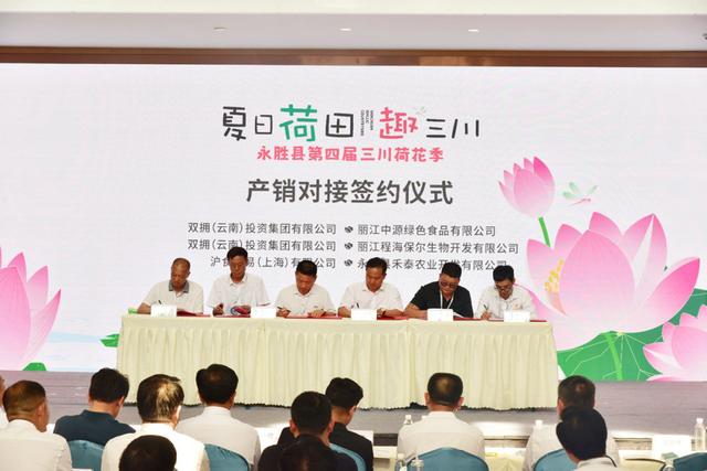 万亩荷塘绽芳华！永胜第四届三川荷花季邀您“趣”体验