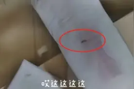 女大学生称网购卫生巾出现活虫，找客服反映却被威胁？多方回应图片