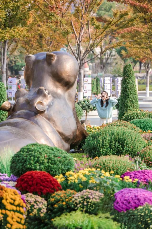 2025武汉菊展17大展区地点官宣！超全赏花攻略+亮点抢先看→