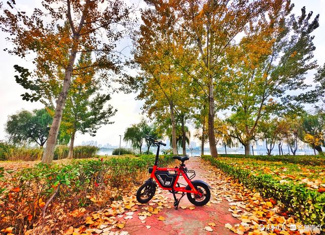 沂河岸边秋景美，抬眸尽是好风光