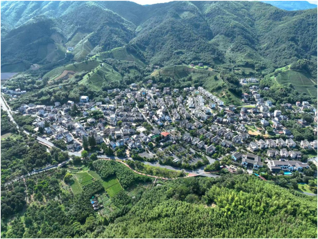 活力中国调研行｜来“浙”里，打卡宝藏乡村！