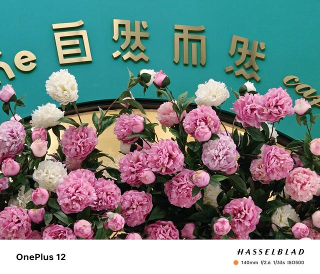 ��ԽPro����ȫ����ˮͰ�콢��һ��12����