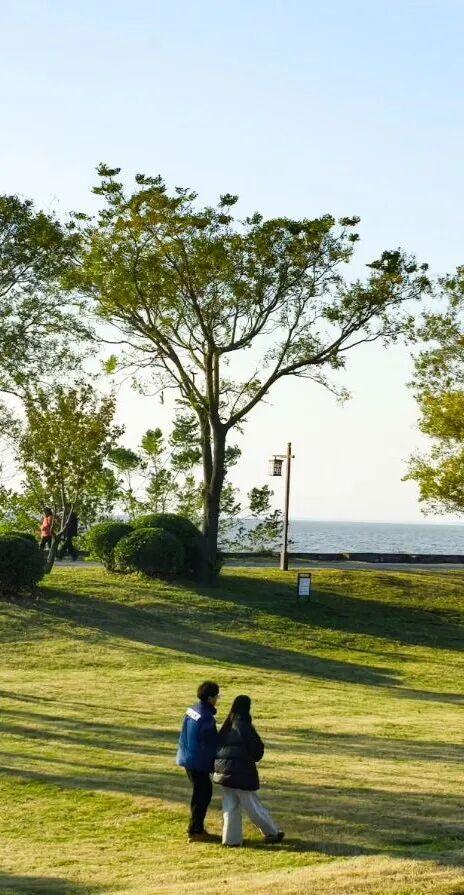 @高邮人 邀请您找寻心中的……