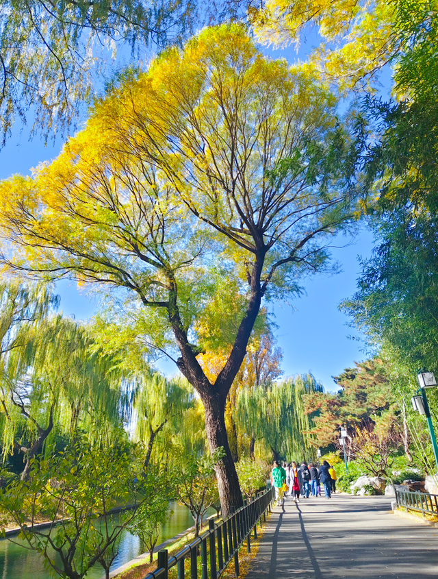 太美了！漫步南长河，邂逅满途风光