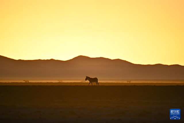 走进阿尔金山 镜遇秘境昆仑