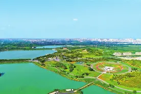 礼赞新中国 出彩大中原·商丘篇丨追绿逐美满目新图片