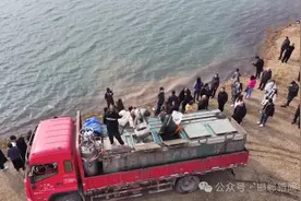 我市开展渔业资源增殖放流活动 近40万尾鲢鱼鳙鱼“安家”岳城水库图片