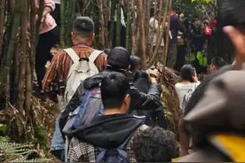“涪陵桫椤沟”成网红徒步线路周末“人从众”，系三峡库区唯一桫椤自然保护区图片