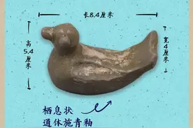这个小学挖出了“宝贝”！图片