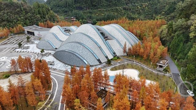 “口袋公园”冬景美