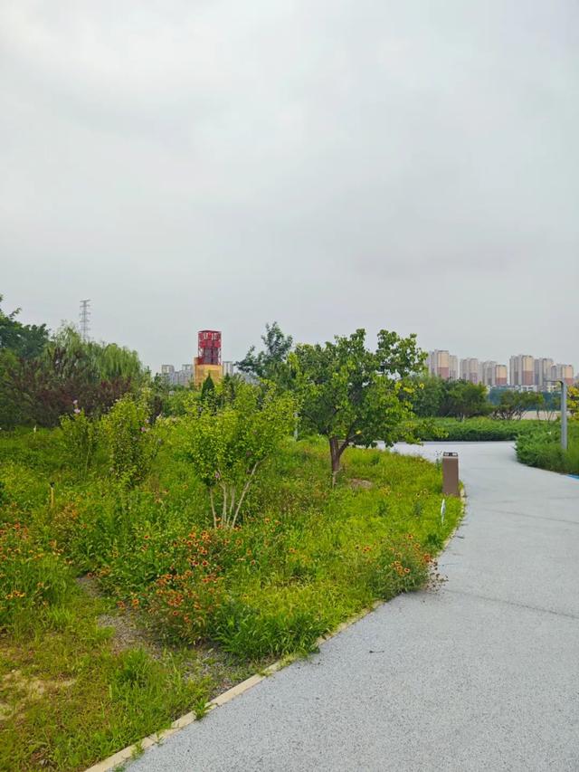 热度高！通州这个新公园到底有啥魅力？小编现场实探，附开放时间......