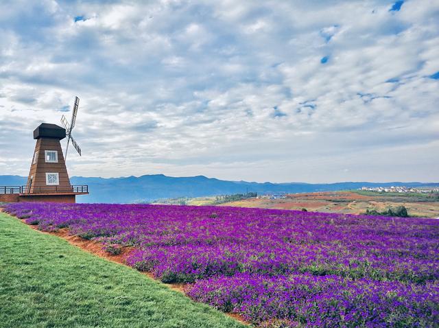 温泉润泽，云南这座小城坐拥半城湖光丨云新闻·滇地宝藏⑮