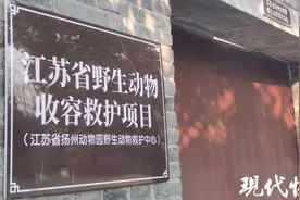 扬州一年救护野生动物近200只，都有啥？图片