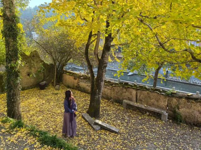 不赶行程的自由！屏南2天1夜，与草场、火凤凰、红柿子浪漫相遇