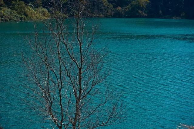 来保山，让冬日住进22℃的温柔里！