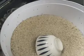 头皮发麻！米袋爬满这种生物还能吃吗？专家：出现这种情况必须扔图片