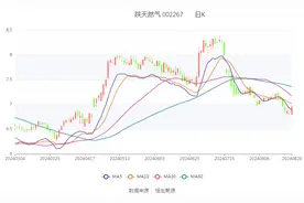陕天然气：2024年上半年净利润同比增长41.25% 拟10派1元图片