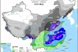 2008年南方罕见雨雪低温冰冻会重演吗？中国天气网：不会图片