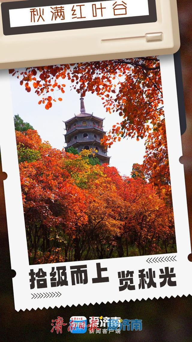 海报合集│济南红叶谷剪映深秋最美时光