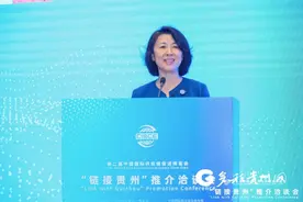 【多彩视角观链博】中国贸促会副会长李庆霜：助力贵州产业链“链”出新高度图片