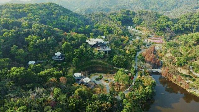 新版“羊城八景”以景点组合形式出道，广州千年城脉澎湃文旅发展新动能