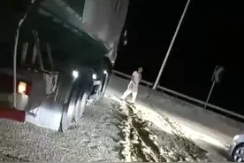 湖南一桥面大量蜉蝣“婚飞”致车辆打滑 专家：持续高温羽化所致图片