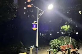 56组灭蚊灯“上岗”居民遛弯不再愁图片