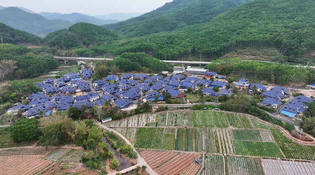 旅居云南丨生活在磨憨：体验雨林徒步、特色美食和绚烂民族文化